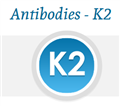 K2单克隆抗体（mAb），小鼠，lgM，kappa链